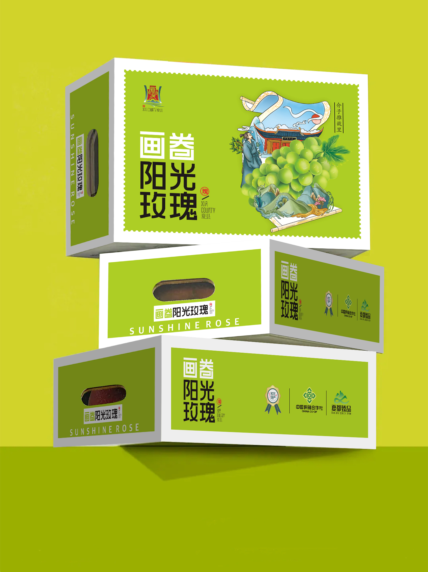 夏县✶阳光玫瑰